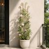 Iron Plant Support Rack Hollow Out Plant Climbing Frame Metal Plant Trellis Frame Potted Plants