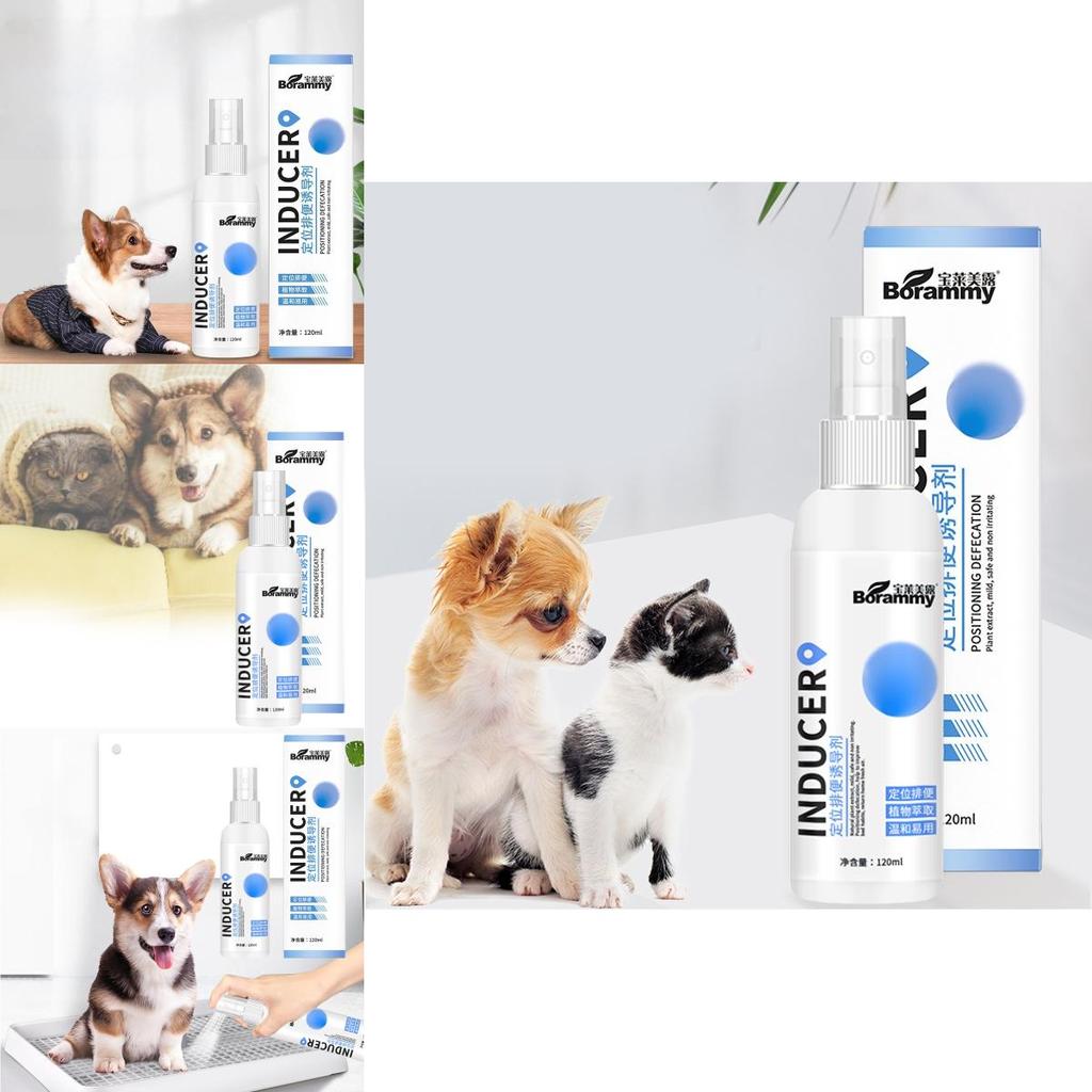 Effektives Stubenreinheitsspray für Hunde zur Standortführung für Urin und Kot