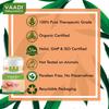 Vaadi Herbals Foot Cream With Clove And Sandal Oil For Dry Rough Heels Moisturizing Foot Care Cream 30 g X Pack Of 3