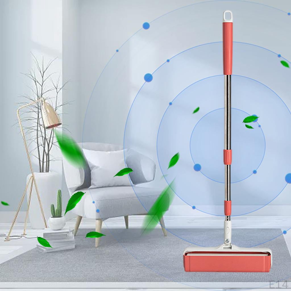 Handle Assembly Dust and Hair Pet Remover Cleaner Roller with Long
