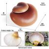 Cross-Border Mushroom Keyring Toy: Shiitake, White Death Cap, Enoki, Matsutake, Amanita Muscaria.