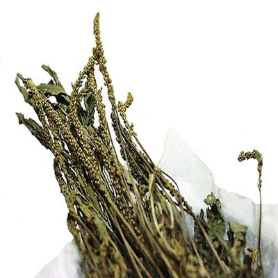 Jiri Mountain Oriental Medicine Wild Plantain Dried Special 200g/Dongeuibogamchon Jiri Mountain Herbal Medicine Specialty