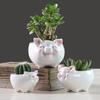 Simple Nordic Cartoon Animal Succulent Flower Pot Ceramic, Creative Gardening Water Flower Potter Home Decoration Ornament