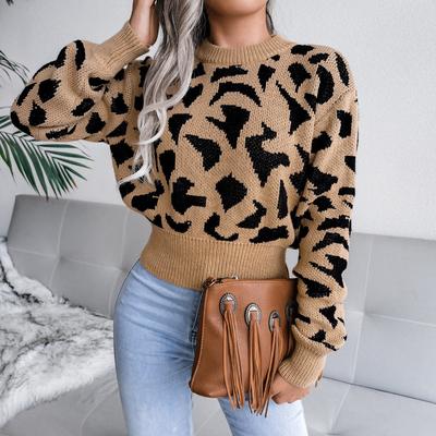 Maglione casual autunnale e invernale con stampa leopardata in vita e maglia a metà pancia