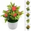 1pc 18 Cm  Realistic Artificial Flowers Plant Pot Outdoor Wedding Ceremony Decor Home Garden   Office Bouquet Decoration Gifts