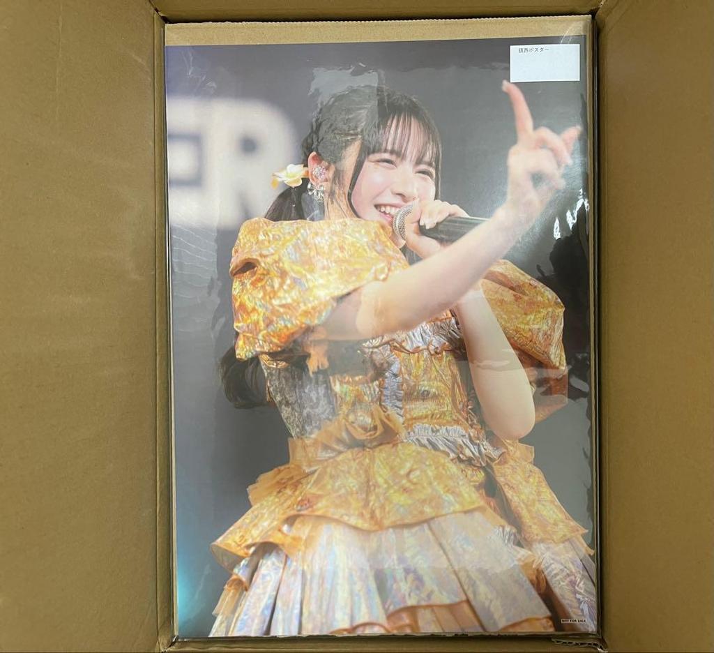 [USED] Chinzei Suzuka Online Fan Meeting A3 Poster