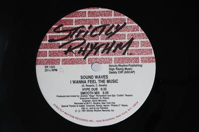 12inch Record SOUND WAVES  I Wanna Feel The Music  Gotta Have SR1243 Strictly Rhythm 1991 US Dance  Electronica Used
