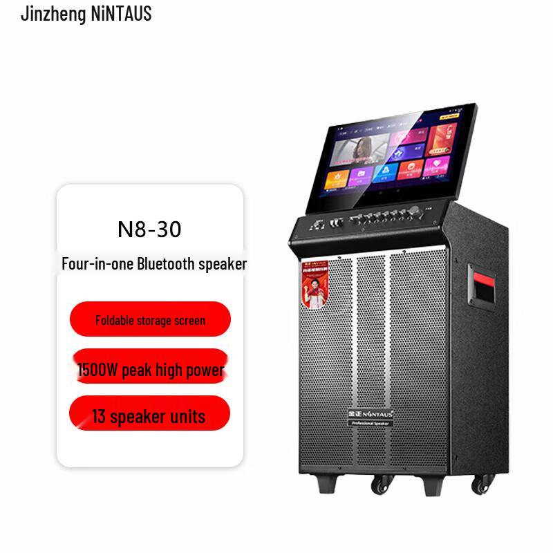 NINTAUS Smart Karaoke & Portable PA Speaker Systems