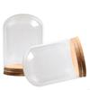 92MF 2Pieces Mini Glass Display Covers Cloche Dome with Cork Base for Flower Storage