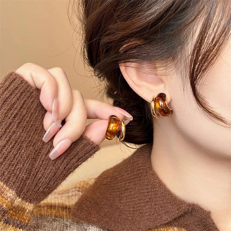 Retro autumn and winter coffee earrings women's niche design high-end stud earrings temperament versatile commuting fashionable earrings