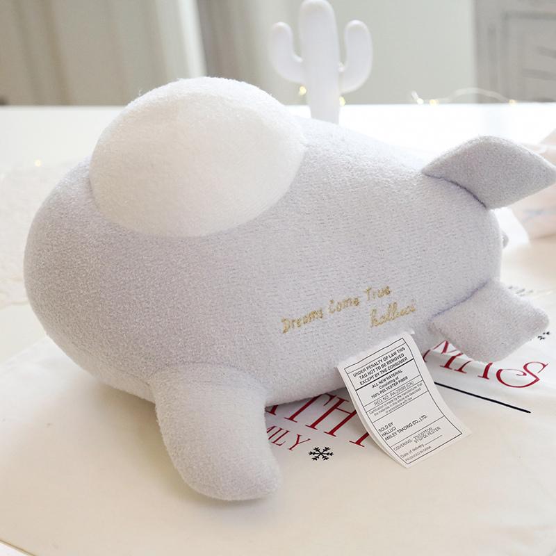 Kawaii Wolken-Top Flugzeug Plüschtier Kissen Hellgrauer Frotteestoff Traumhafte Stickerei Spruch Weiche Flugzeugpuppe Geschenke. 38X43X19cm