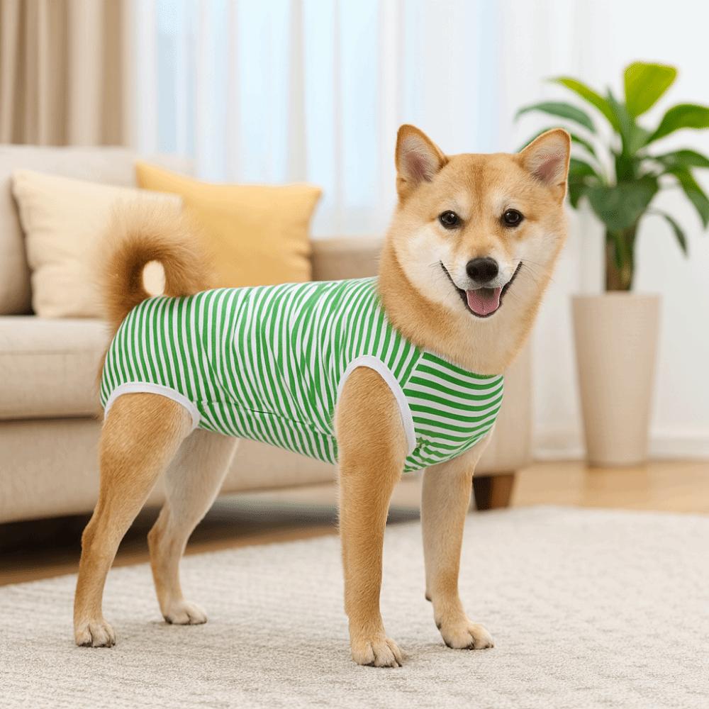 Elastischer Hunde-Reha-Anzug Waschbares Gestreiftes Design Anti-Leck-Body Vierbeiniger Haustier-Sterilisationsanzug Wundschutz