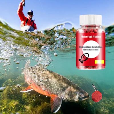 Attractifs pour Poissons Granulés Additif Concentré pour Appâts à Poissons Frais Humides Granulés Haute Protéine Odeur de Poisson Accessoires de Pêche