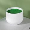 Simulation Ceramic Oval And Square Plastic Flower Pots For Small Foliage And Desktop Decor