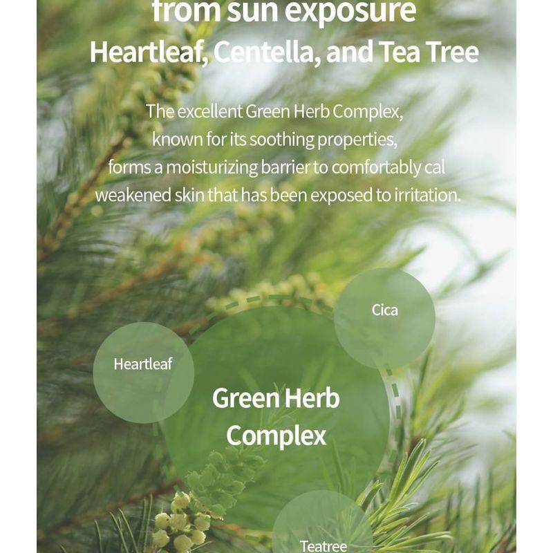 Fraijour - Heartleaf Water Fit Sun Screen