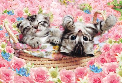 Epoch Jigsaw Rose Kitties Includes and Score Ticket 300-Piece Puzzle, Animals/Pets, Cat, (26x38cm), 25-142, Glue, Spatula,