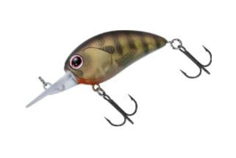 Daiwa Tiny STEEZ Crank 100 Wild Bluegill Crankbait