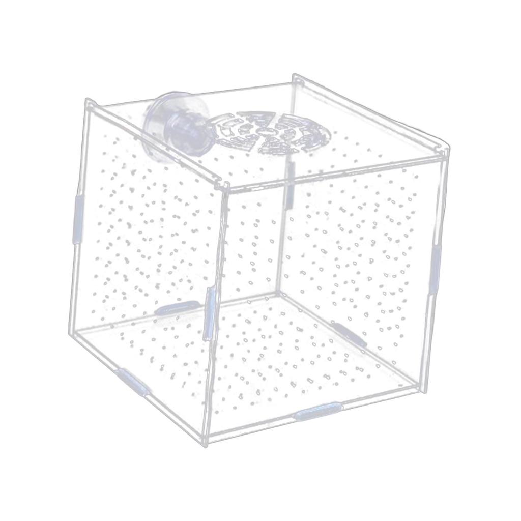 Breeding Isolation Container for Acrylic Tanks with Fry Holder