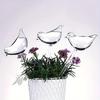 2pcs/5pcs Automatic Plant Self Watering Bird Shape Water Device Plastical Drip Irrigation System for Home Garden Flower Plants