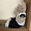 [USED] German-made Teddy Bear, Stuffed Animal, Bear, German Football Association Bremen GmbH