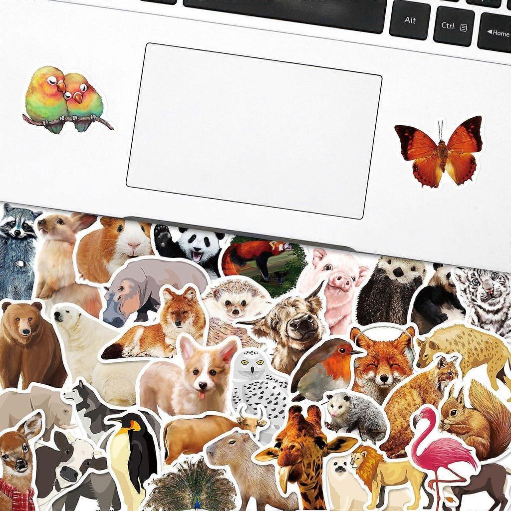 50 wiederverwendbare Sticker inspiriert von der Natur (Augen-Aufkleber), mehrfarbig