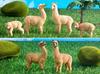 TOYMANY 8-Piece Alpaca Figure Set, Animal Figures, Alpaca Model, Parent and Child Figures, Realistic Animal Model, Popular Animal Toy, Birthday Gift,