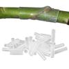 200pcs Fruit Tree Silicone Grafting Sleeve 3-10mm Size Grafting Sleeve Moisture Plant Trunk Grafting Wrapping Sleeves