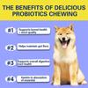 Pet Probiotic Chewable Tablets A Variety Of Enzyme Blends To Promote Intestinal Digestion Health Supplements For Dogs