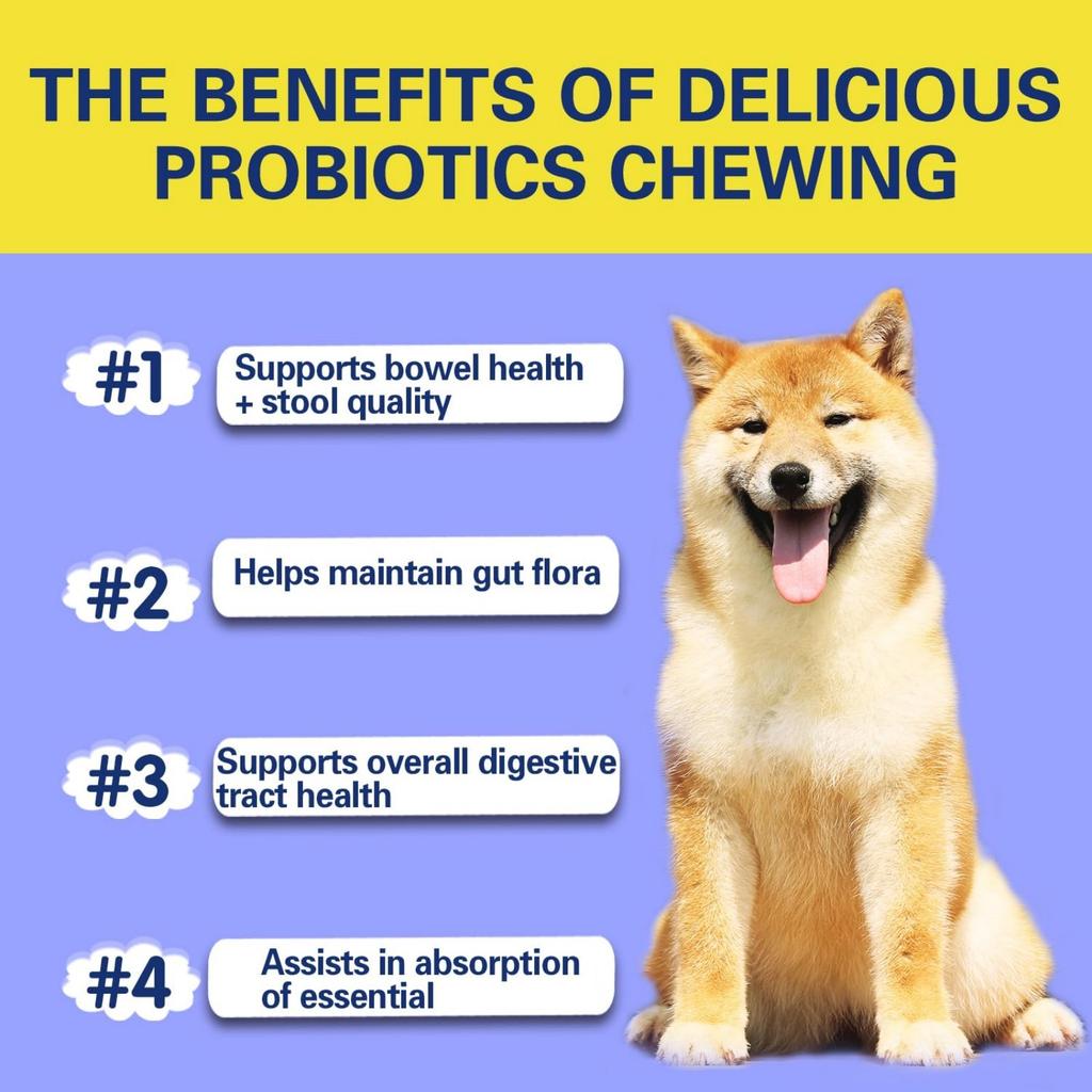 Pet Probiotic Chewable Tablets A Variety Of Enzyme Blends To Promote Intestinal Digestion Health Supplements For Dogs
