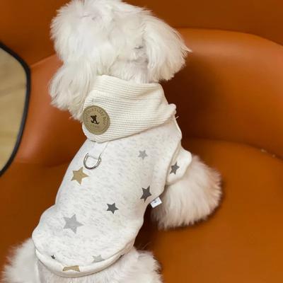 Kleding en schoenen – Hondentruien