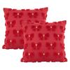 Valentines Day Throw Pillow Covers Soft 18x18 Inch Set of 2 Throw Pillowcase for Bedroom Sofa Holiday Festivals