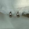 14k Volume One-touch Earrings
