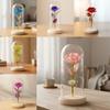 High Quality Wooden Eternal Rose Flower with Transparent Lampshade Exquisite Artificial Flower Simulation Roses Bridesmaid Gifts