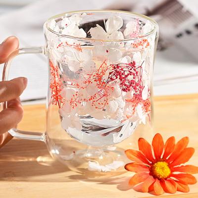 220/300ML Γυάλινες κούπες διπλού τοιχώματος με μονωμένη λαβή Clear Glass κούπες καφέ