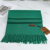 Scarf Imitation Cashmere 29 Colors Thick Warm Solid Color Scarf Shawl Women'S Winter Fashion Tassel Versatile Scarf Men