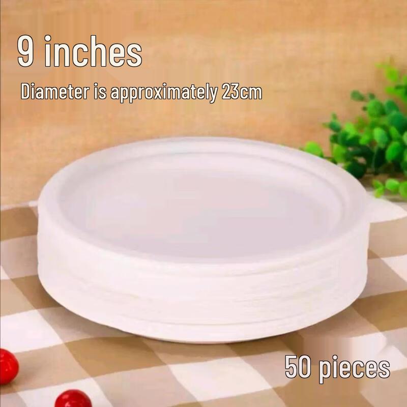 Disposable Biodegradable Pulp Plates