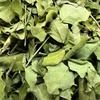 Chinese Herbal Medicine Moringa Leaves50g