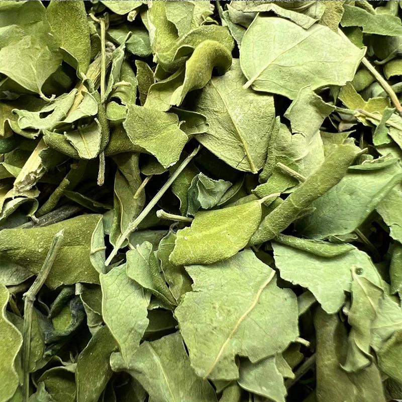 Chinese Herbal Medicine Moringa Leaves50g