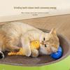 Hoopet Interactive Cat Toys