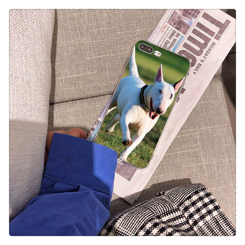 Bullterrier Bull Terrier Dog Phone Case For iPhone 13 X XS MAX 6 6s 7 7plus 8 8Plus 5 5S Se 2020 XR 12 11 Pro Max Fundas Capa