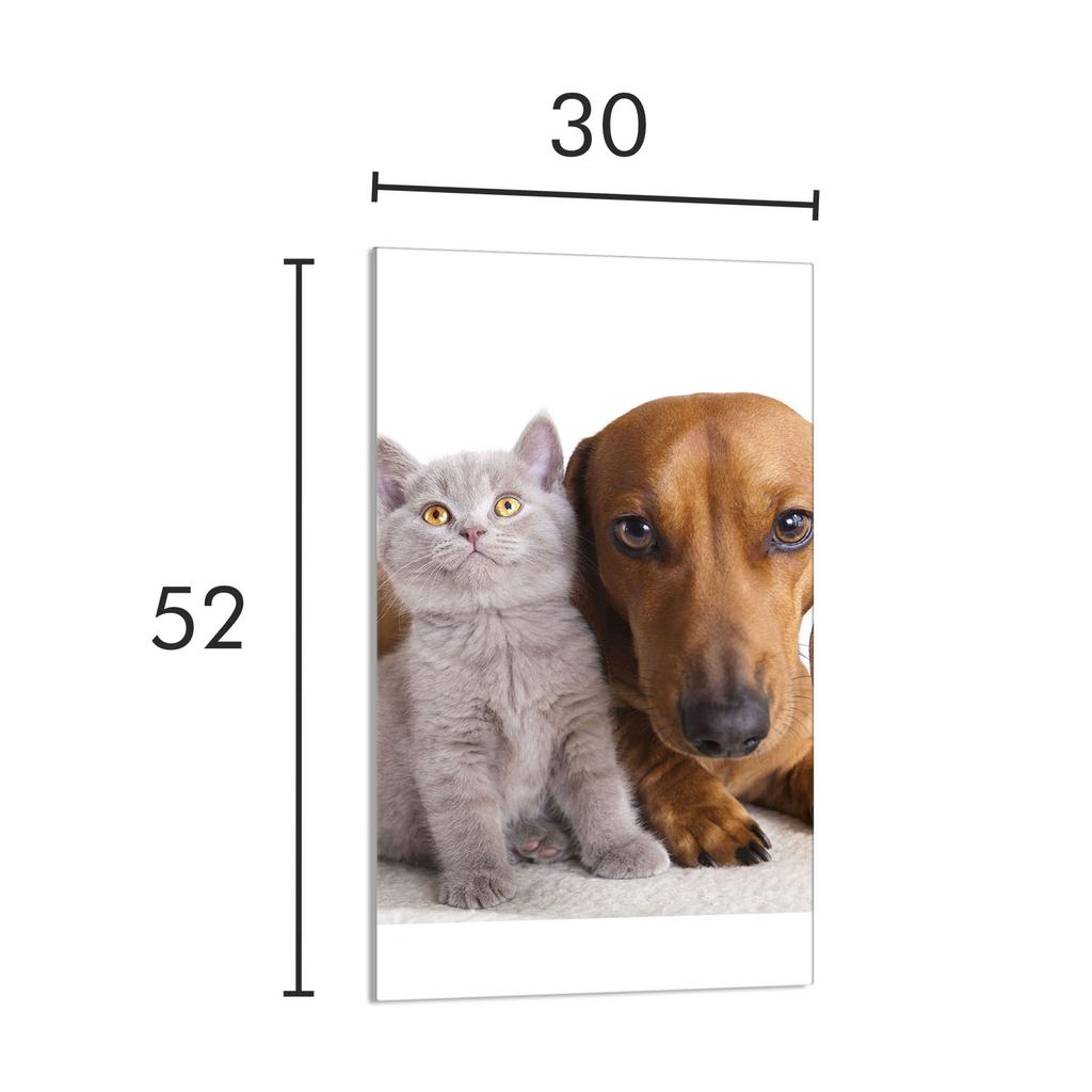 SZKLANA DESKA DO KROJENIA 30x52 Zwierzęta