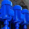 Rongying G-Type Screw Pump
