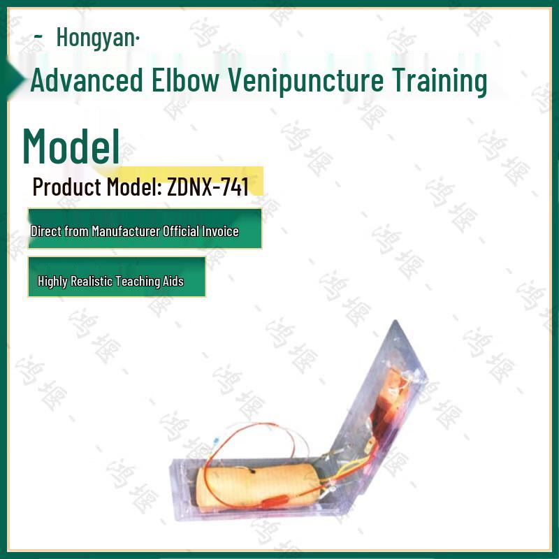 Hongyan Advanced Elbow Venipuncture Training Model ZDNX-741