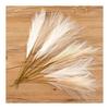 Pampas Grass Artificial Flowers 12 Pieces 48cm Pampas Fluffy Fake Dried Flower Style Decoration DIY 3 Colors