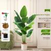 Luxurious Indoor Bionic Bird of Paradise Faux Plant