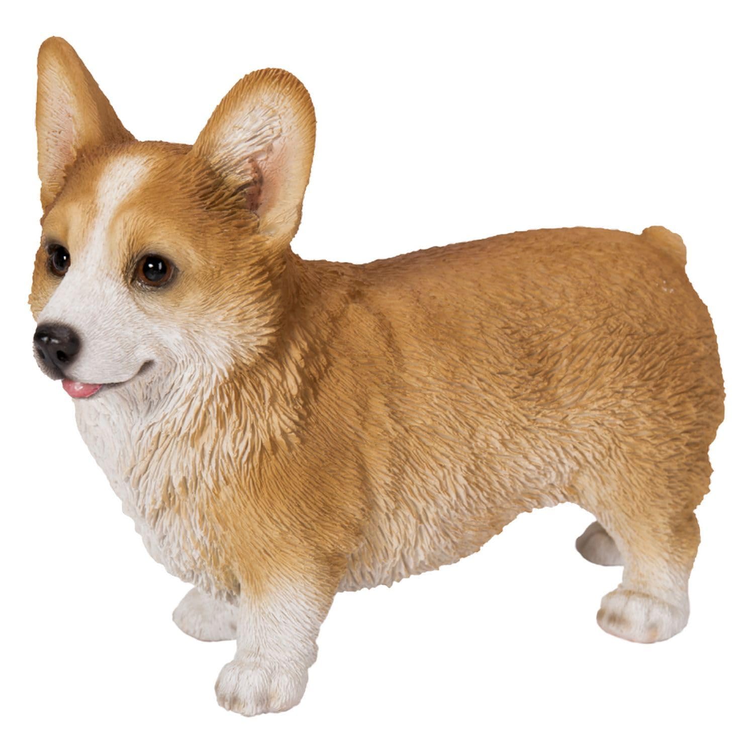 

Убия Вельш-корги Стоящий влево x 6 x 12 см Кукла Фигурка Украшение Животное Садовое украшение Реалистичная Милая Собака H19006 15.2