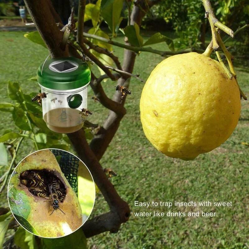 1PC Solar Fruit Fly Catcher LED Light Orchard Non-toxic Waterproof Insect Killer Pest Bees Control Garden Repellent