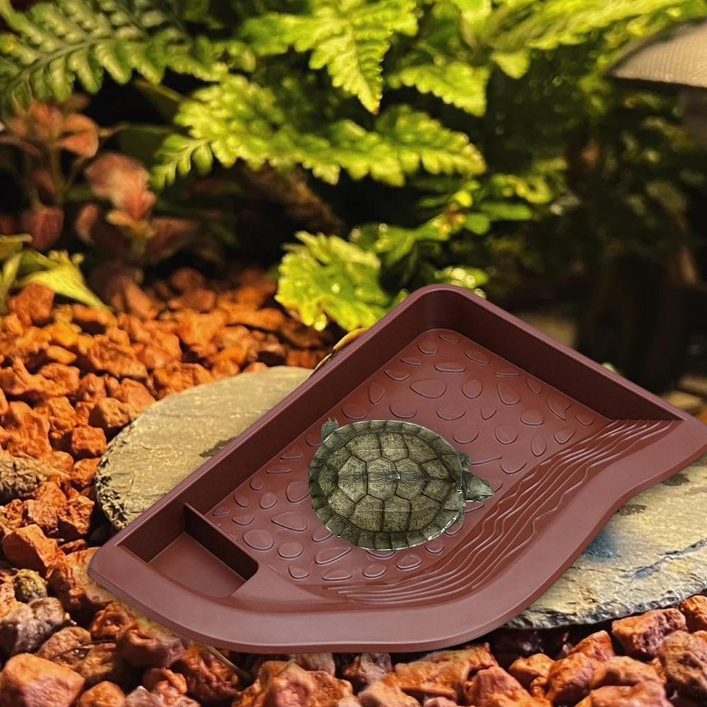 Aquarium Decoration with Bathing Area for Tortoise and Bearded Dragon