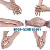 Hand Model, Both Hands, Mannequin, Realistic Model, Torso, Female, Silicone, Built-in Skeleton, Nails, Drawing Model