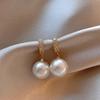 2025 Silver Needle Zircon Pearl Earrings: French Retro Light Luxury Studs for Women